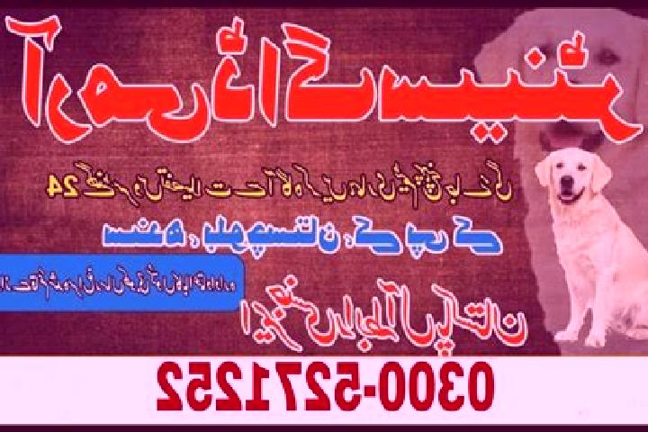 escort Rajo Khanani