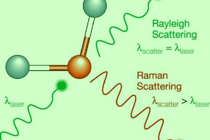 escort Raman