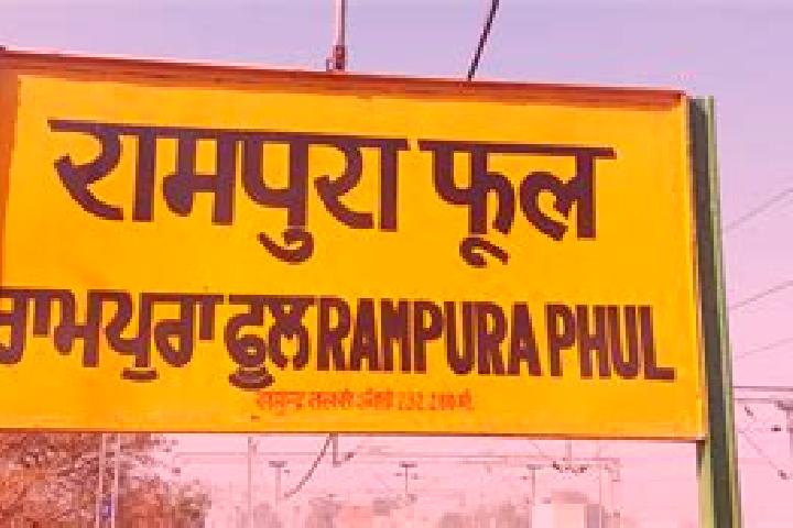 escort Rampura Phul