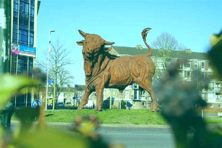 escort Randenbroek