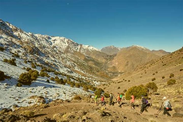 escort Rass el Djebel