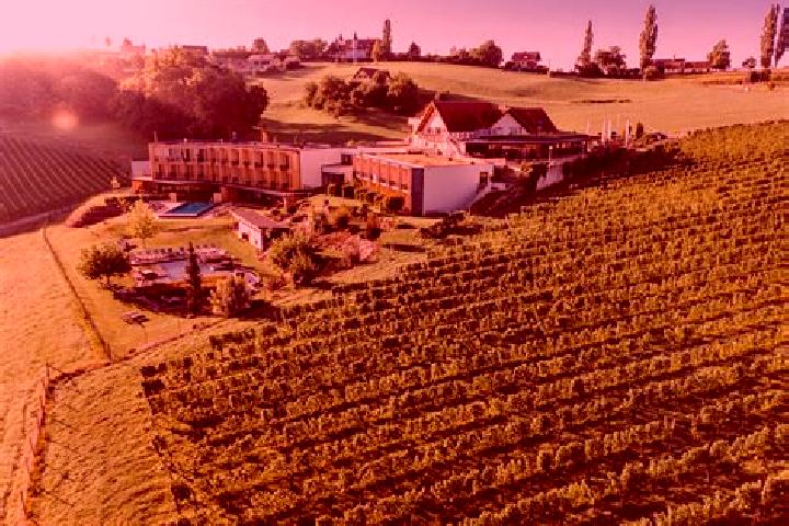 escort Ratsch an der Weinstrasse
