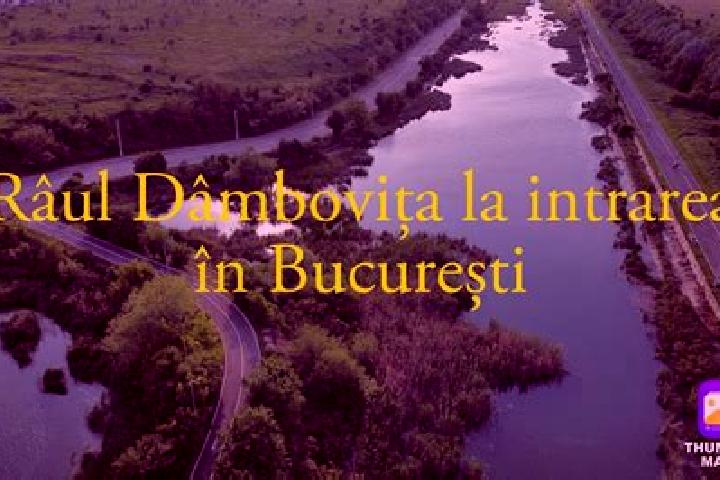 escort Rau Alb de Sus