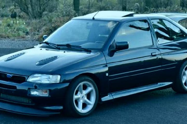 escort Rauenberg