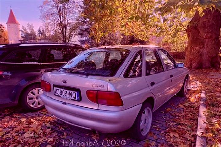 escort Rauschwitz
