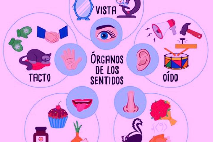 escort Razo del Organo (Veintiuno de Mayo)