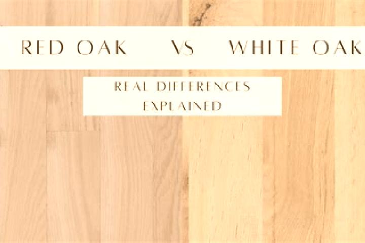 escort Red Oak