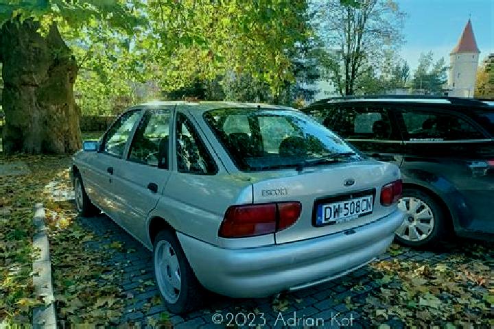 escort Reesdorf