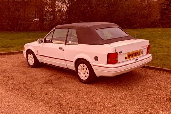 escort Reghin-Sat