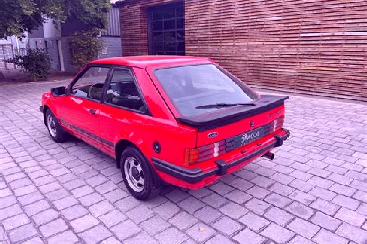 escort Rehungen