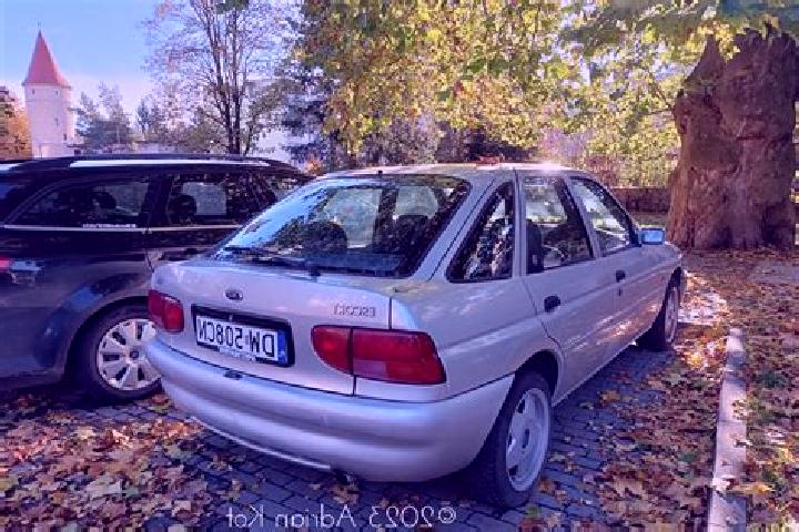 escort Reinhardshausen
