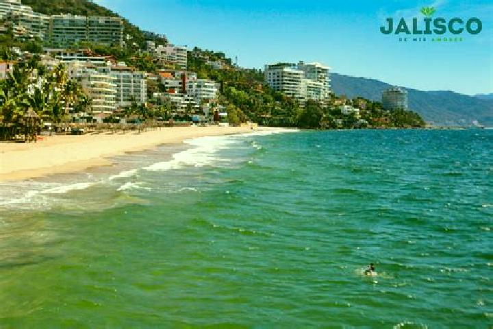 escort Reyes de Vallarta