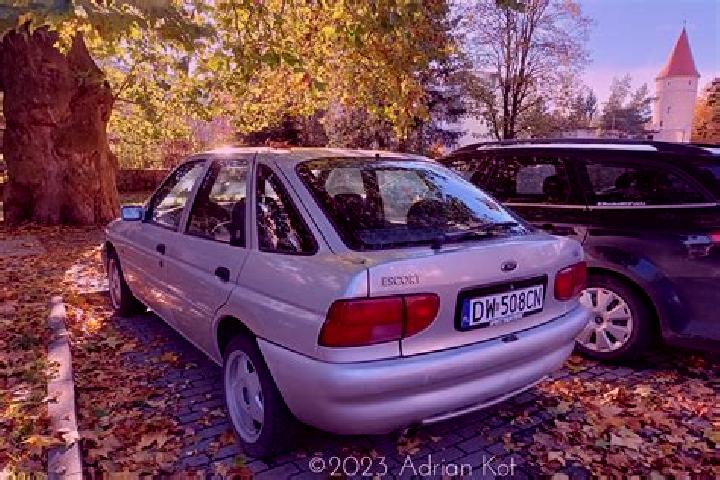 escort Rezina