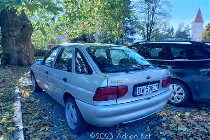 escort Rheinmuenster