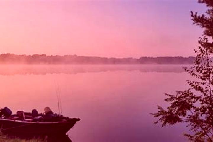 escort Rib Lake