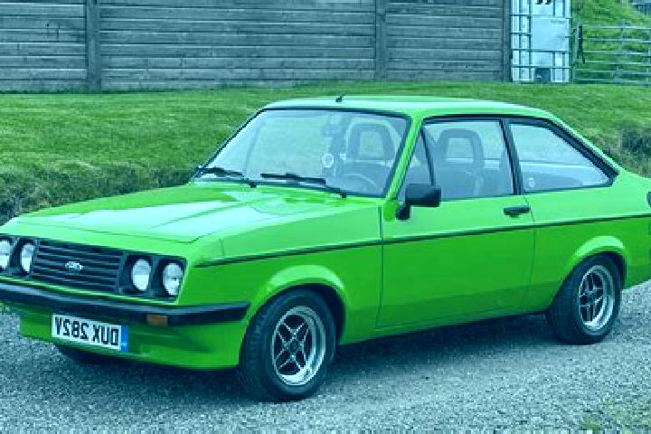 escort Ribah