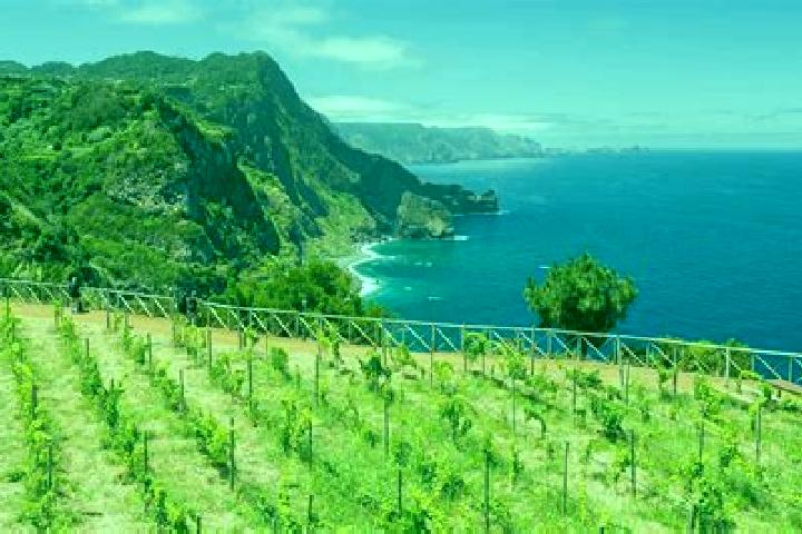 escort Ribeira da Vinha
