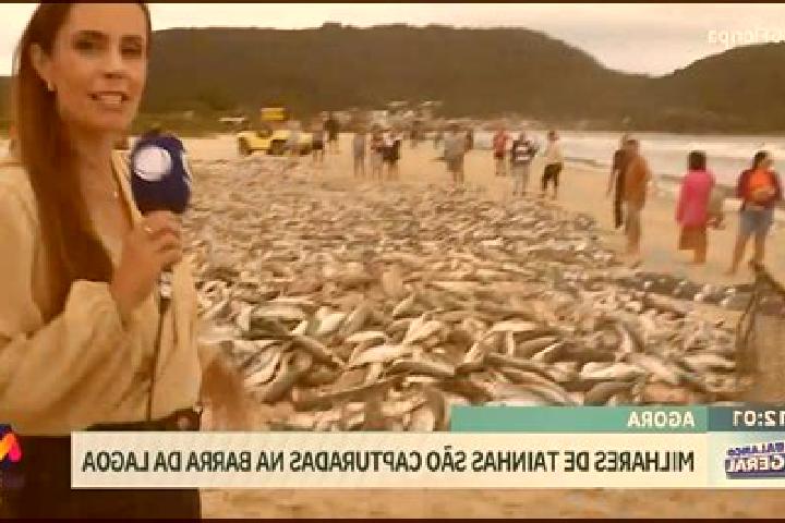 escort Ribeira das Tainhas