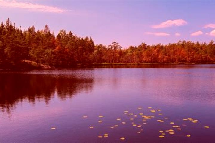 escort Rice Lake