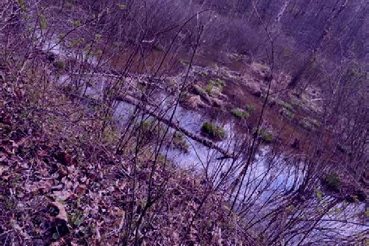 escort Rich Creek