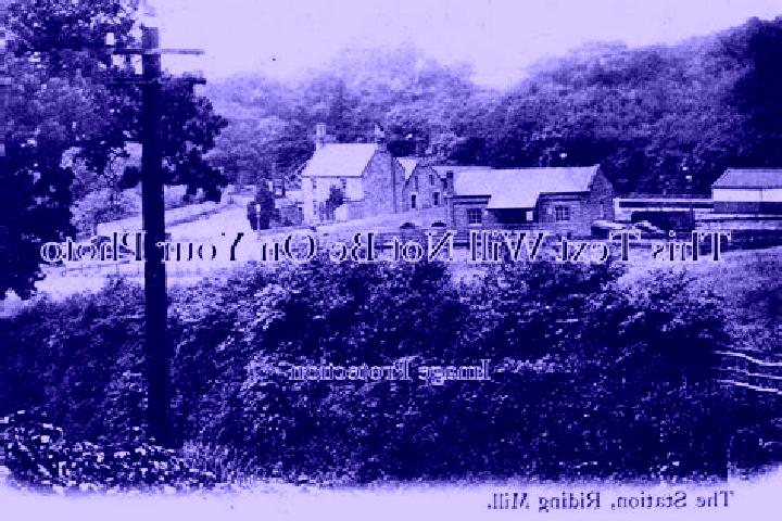 escort Riding Mill