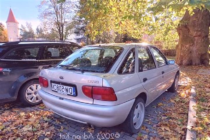 escort Riegelsville