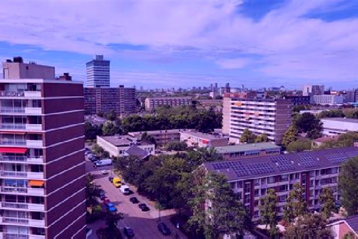escort Rijswijk