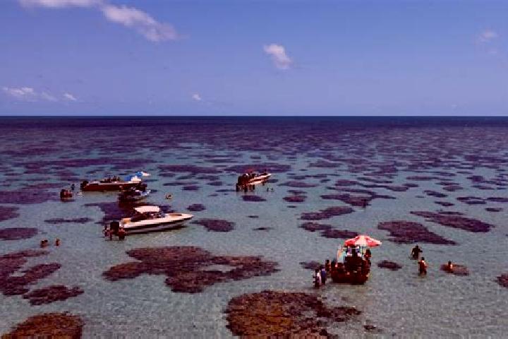 escort Rio do Fogo