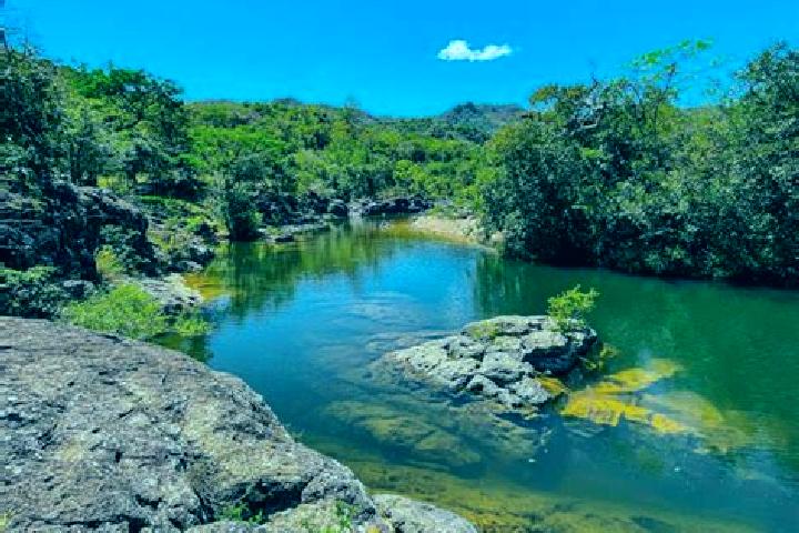 escort Rio Sapo