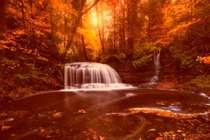 escort River Falls