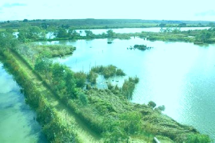 escort Riverglades