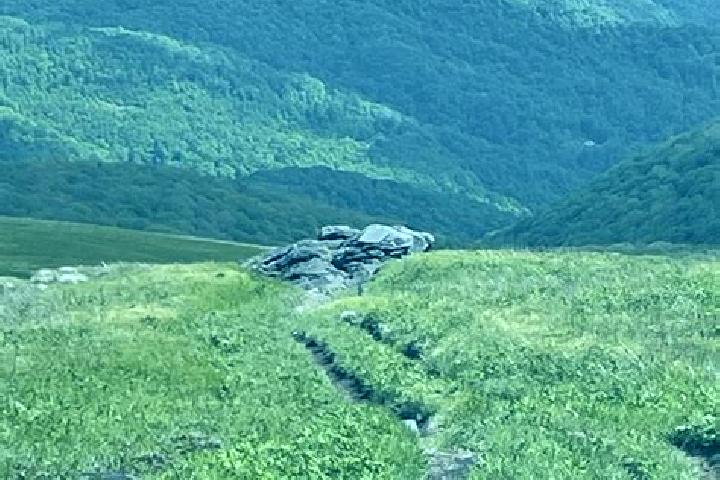 escort Roan Mountain
