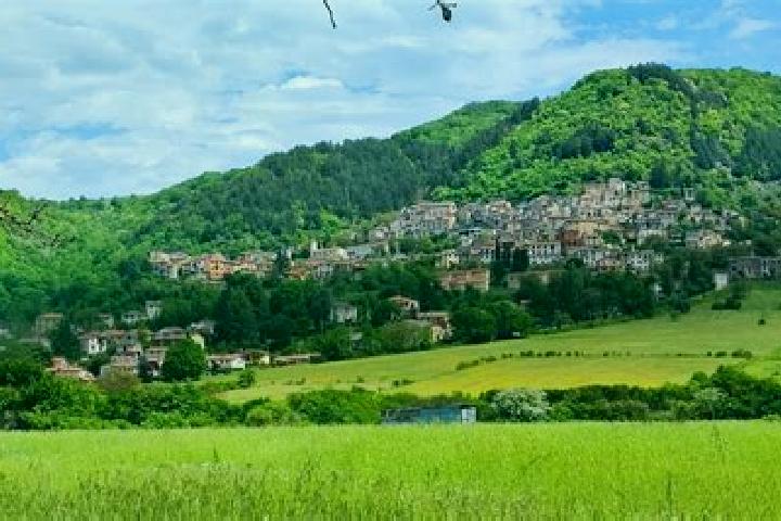 escort Rocca di Botte
