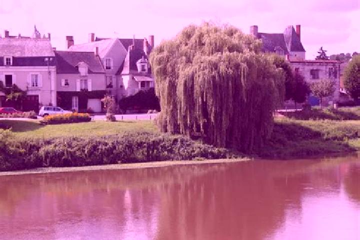 escort Rochefort-sur-Loire