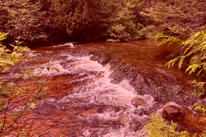 escort Rock Rapids
