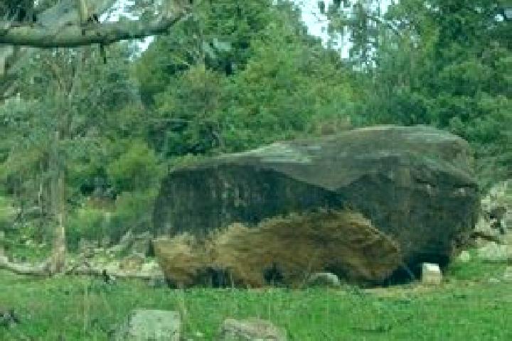 escort Rock
