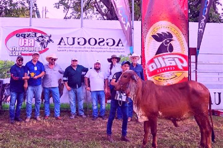 escort Rodeo Arroyo Pepesca