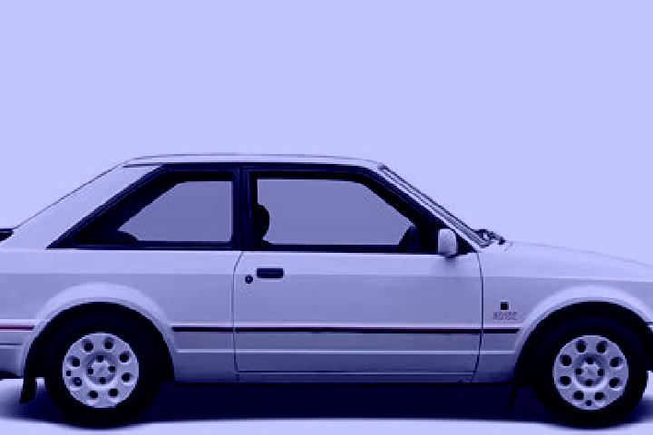 escort Rogojel