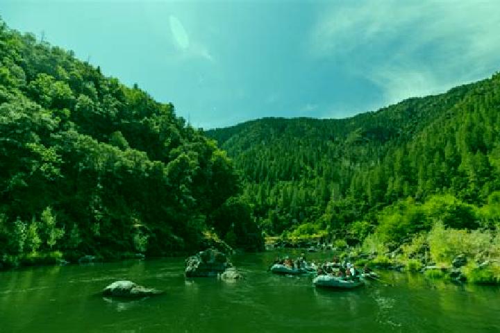 escort Rogue River