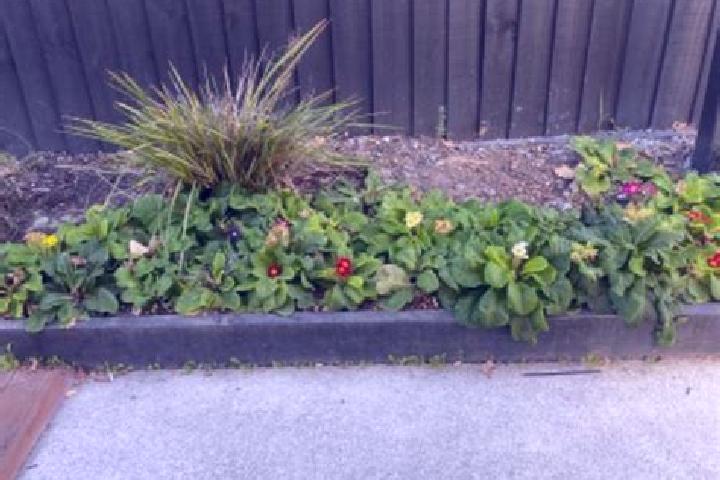 escort Rolleston