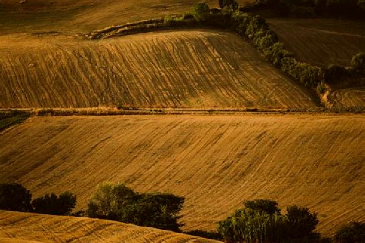escort Rolling Fields