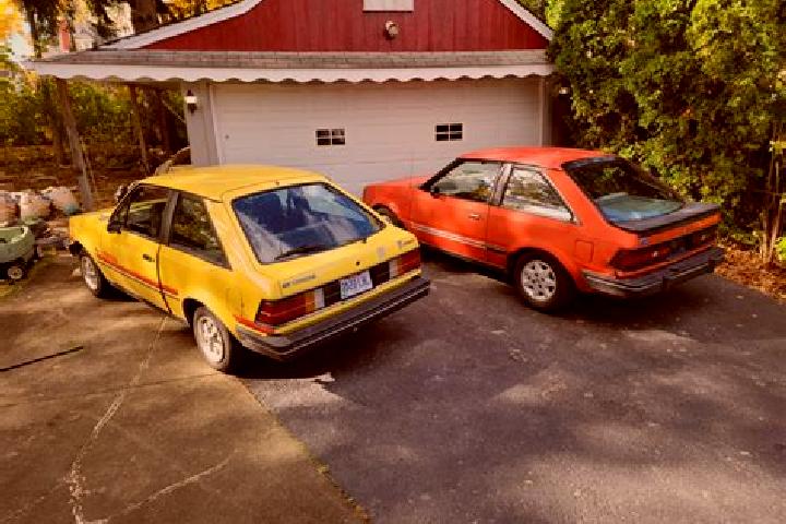 escort Rollingwood