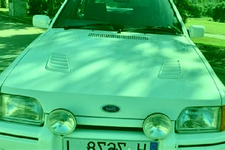 escort Roque