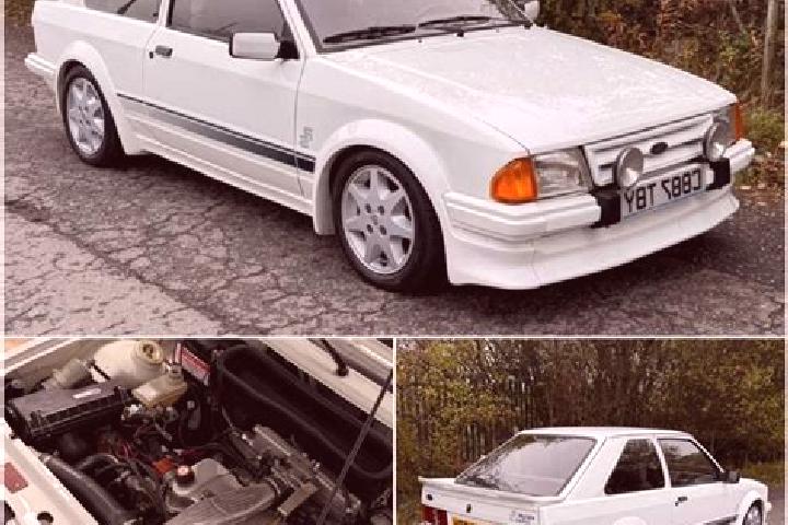 escort Rosalie