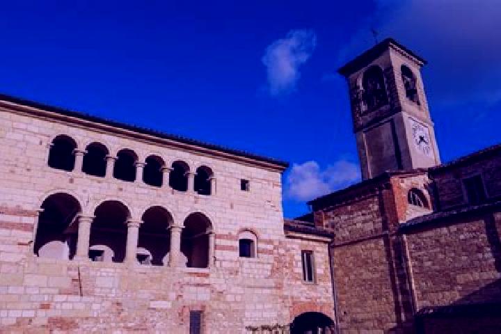 escort Rosignano Monferrato