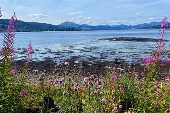 escort Rosneath