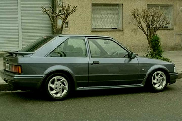 escort Rosolina