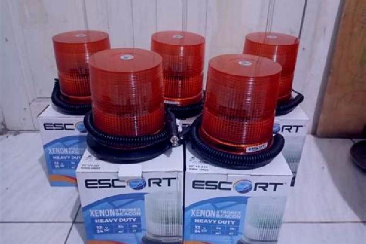 escort Rotari