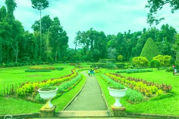 escort Royal Gardens