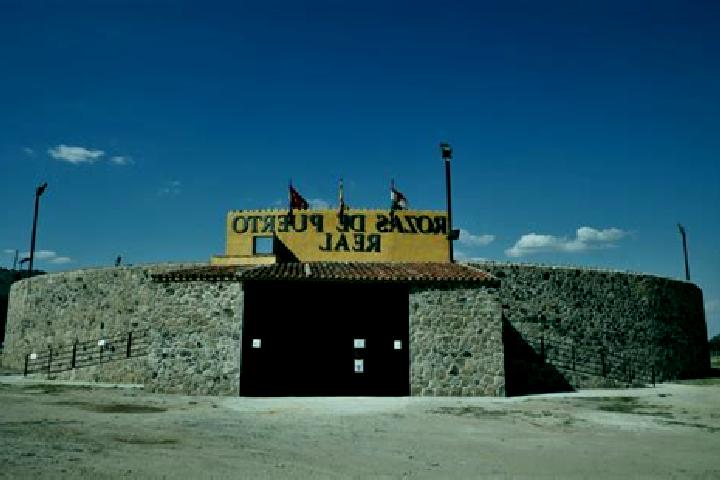 escort Rozas de Puerto Real